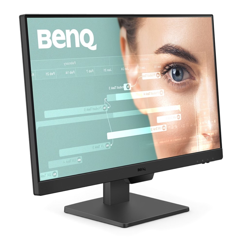BenQ GW2490 24 IPS FHD Monitor