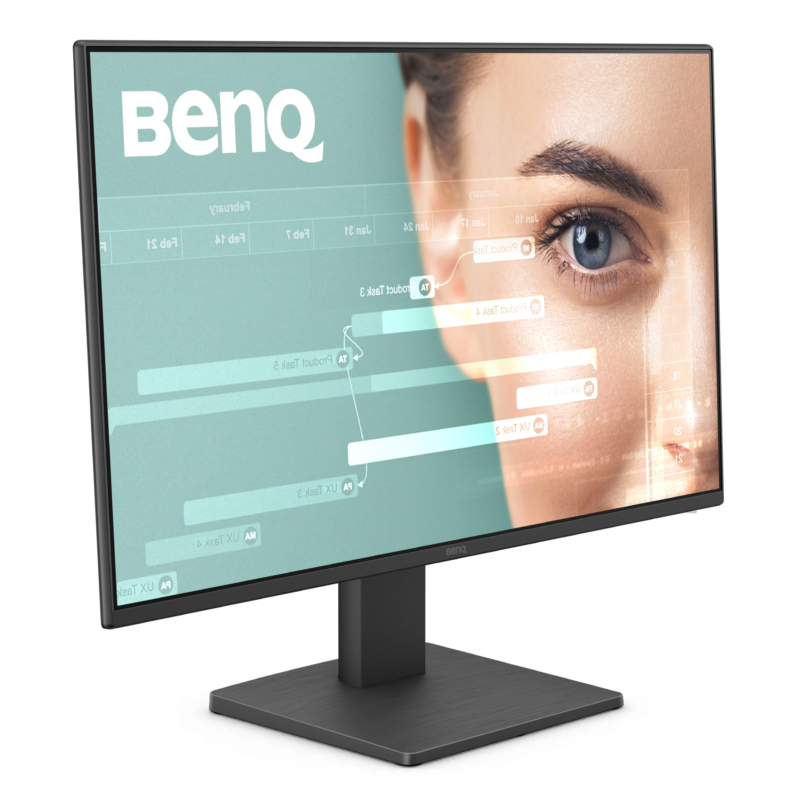 BenQ GW2491 24 IPS FHD Monitor