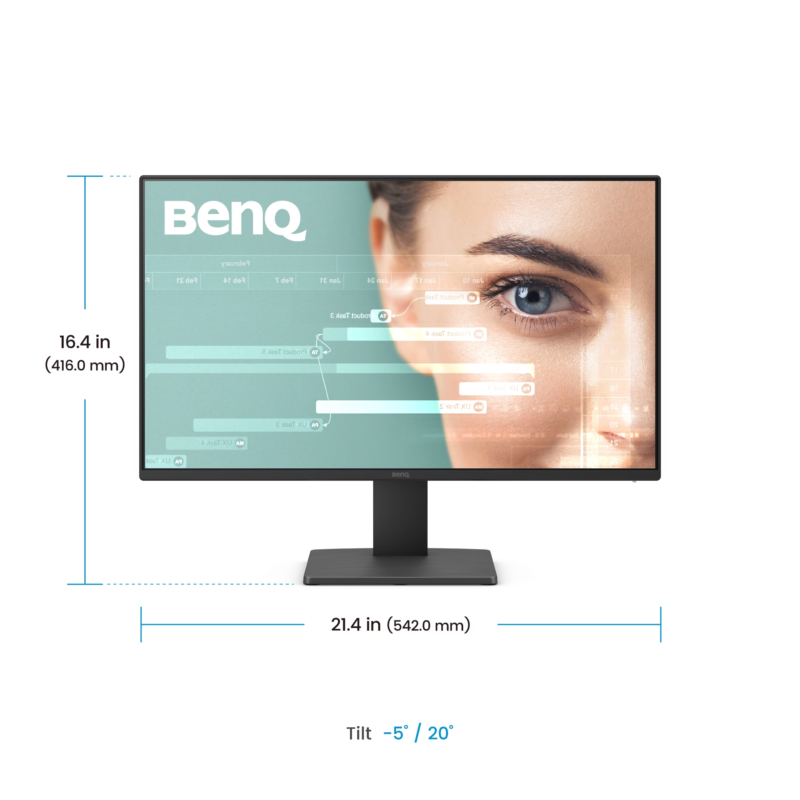 BenQ GW2491 24 IPS FHD Monitor