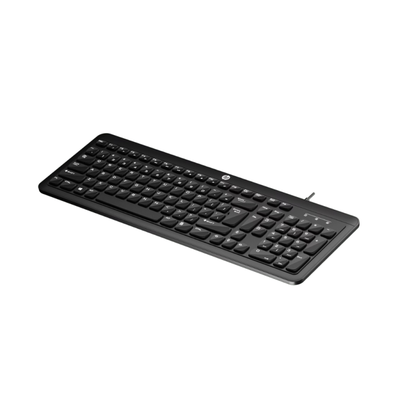 HP K160 USB Wired Keyboard Black | Quick, Comfortable, Spill-Resistant Full-Size Keyboard 1 HP K160 USB Wired Keyboard
